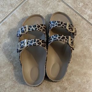 cheetah slides